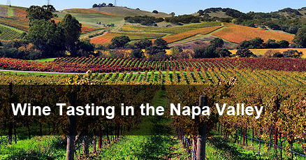 Wine Tasting at Napa Valley