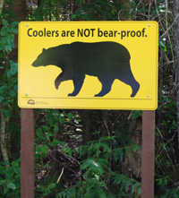 Whistler Camping Options