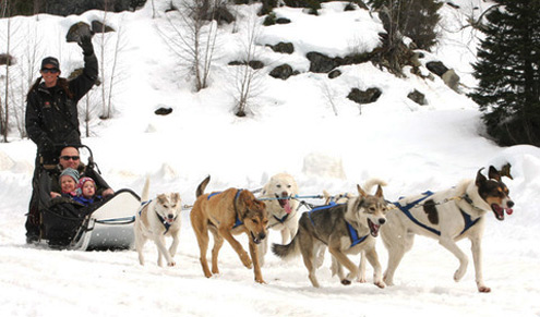 dog-sledding