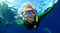 Full-Day Snorkeling Rental Package