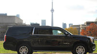 Private Niagara Falls Tour in a SUV