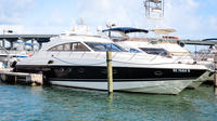 65' ft Princess Rental in Miami