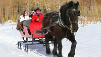 Private Horse-Drawn Sleigh Ride In Banff