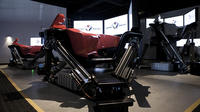Professional Racing Simulation Experience