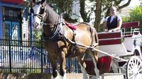 Historic Horse-Drawn Carriage Tour of James Bay