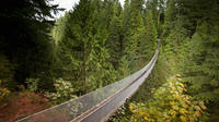 Private Tour to Capilano Bridge and Grouse Mountain