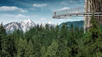 Vancouver Private Day Tour and Capilano Suspension Bridge