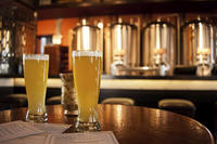 Private San Diego Brewery Tour