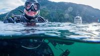 Scuba Diving in Howe Sound