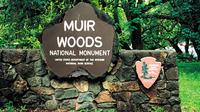 Private Tour of Muir Woods, Sausalito, and San Francisco