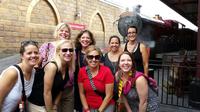 VIP Tour of Walt Disney World Resort, Universal Studios Orlando or SeaWorld Parks