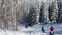 Callaghan Valley Winter Snowmobile Tour