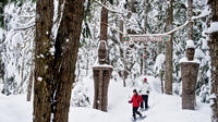 Medicine Trail Snowshoe Tour