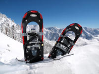 Whistler Snowshoe Adventure