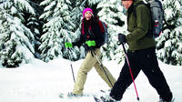 Whistler Snowshoe Tour with Entrance to Squamish Lil'Wat Cultural Centre