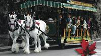 Stanley Park Horse-Drawn Tours