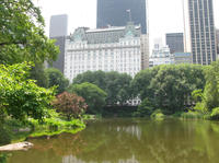 Central Park TV and Movie Sites Walking Tour