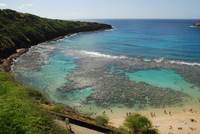 Oahu Grand Circle Island Day Tour with Dole Plantation