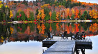 3-Day Beaver Tour in Algonquin Park