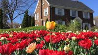 Ottawa Spring Tulip Festival Bike Tour