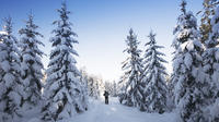 Quebec Nordic Backcountry Skiing Tour