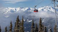 Whistler Peak 2 Peak Gondola Admission Ticket