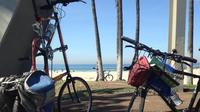 Los Angeles Bike the Beach Tour