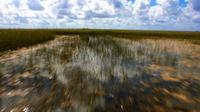 90-Minute Private Air Boat Tour of Everglades National Park