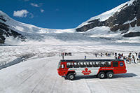 Columbia Icefield Tour including the Glacier Skywalk from Banff