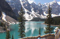 Jasper City Sightseeing Tour