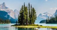 Maligne Lake Cruise