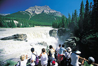 Rocky Mountains Tour: Calgary to Jasper