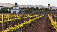 Baja Mexico Winery and Vineyard Tour
