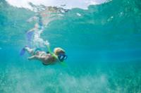 Molokini and Kealewai Snorkel Cruise