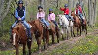 Niagara Beach Horseback Ride