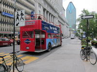 Montreal Shore Excursion: Hop-On Hop-Off City Tour of Montreal