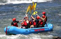San Francisco Day Trip: American River Rafting Adventure and Wine Tour