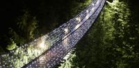 Winter Wonderland Adventure at Vancouver’s Capilano Suspension Bridge