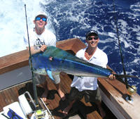 Miami Party Fishing Cruise