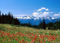 Banff National Park Guided Hike with Lunch