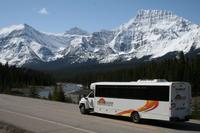 Shared Transfer: Jasper to Edmonton Airport or Edmonton Mall