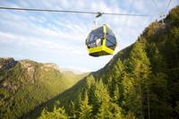 Sea-to-Sky Highway Day Trip from Vancouver: Shannon Falls, Britannia Mine and Gondola Ride