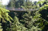 Vancouver Shore Excursion: Pre- Or Post-Cruise North Shore Tour