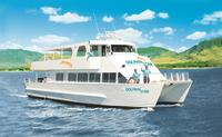 Oahu Wild Dolphin Watching Cruise & Snorkel with Lunch