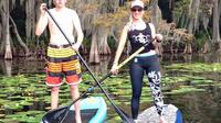 1-Hour Stand Up Paddle Board Rental from Lake Buena Vista Area