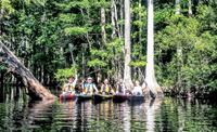 3-Hour Adventure Challenge Guided Kayak Tour