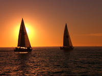 Small-Group San Diego Afternoon Sailing Excursion