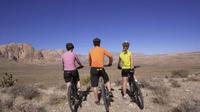 Guided or Self-Guided Road Bike Tour of Red Rock Canyon