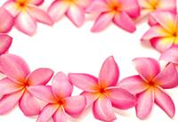 Traditional Lei Greeting on Maui