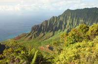 Full-Day Kualoa Ranch Adventure